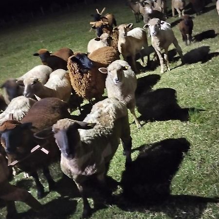 Pousada Do Pampa Jaguarão Eksteriør bilde